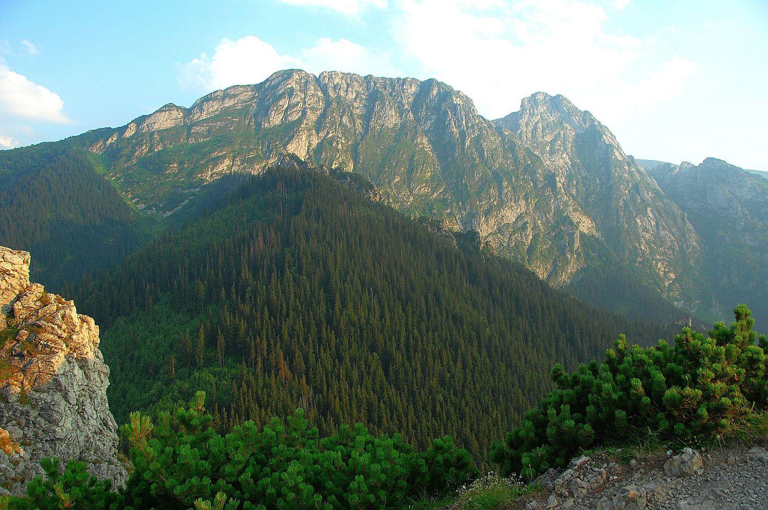 sarnia-skała-strążyska-valley-Zakopane