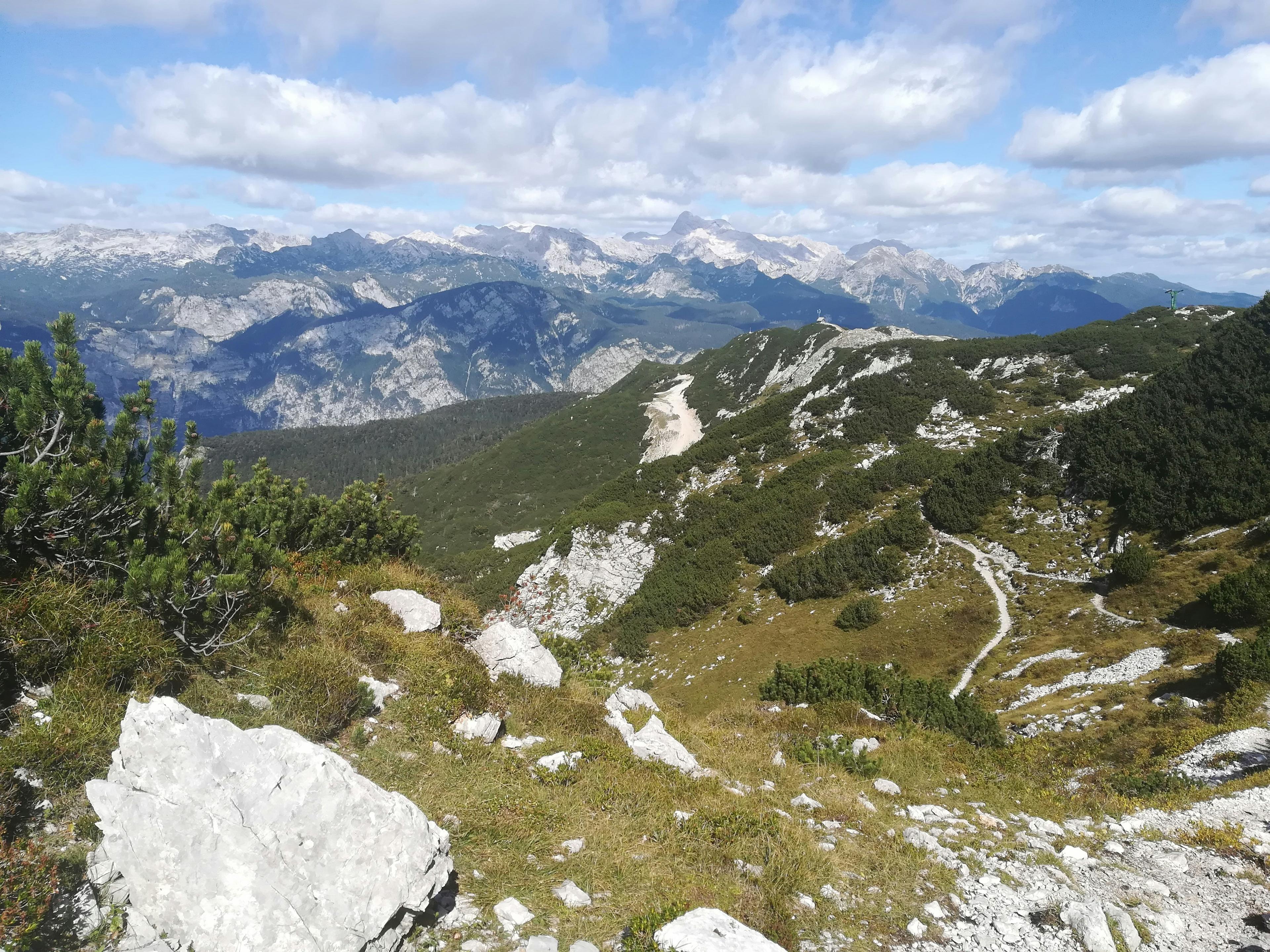 Vogel-Summit-Loop-Hike