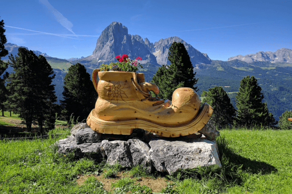 Mastlé-Alm-Boot-Selva